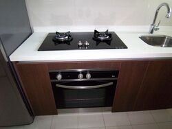 Dakota Residences (D14), Condominium #612494711
